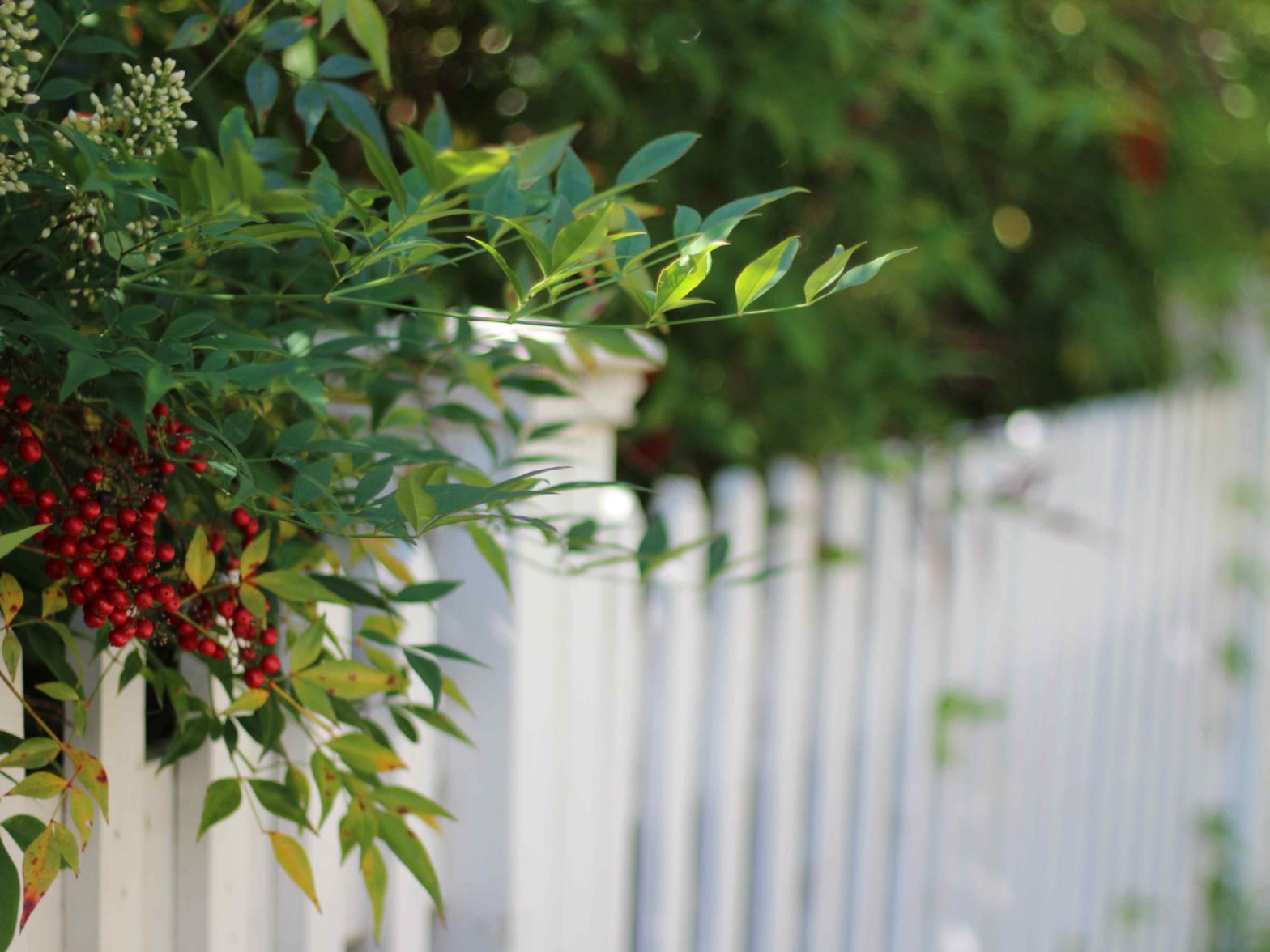 7 Things to Love About Vinyl Fences in Rowesville, South Carolina