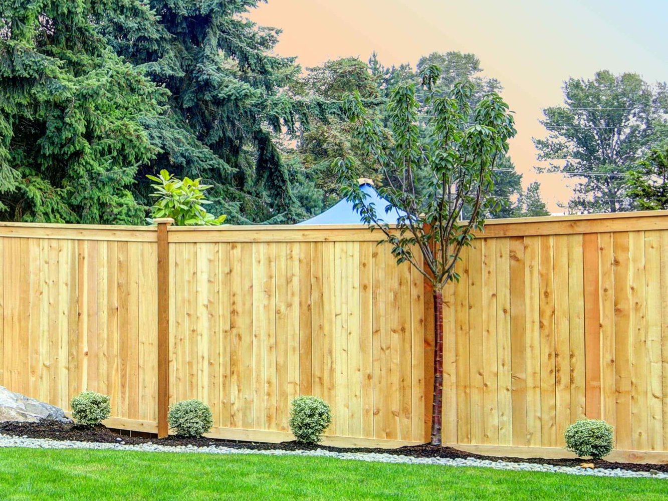 Photo of a wood privacy fence