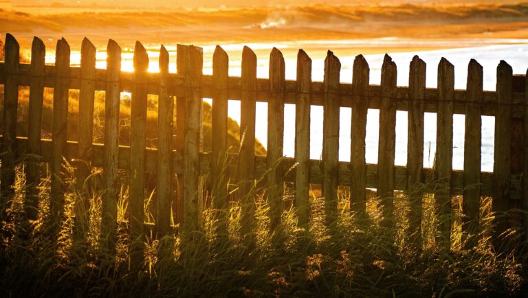 Fence type