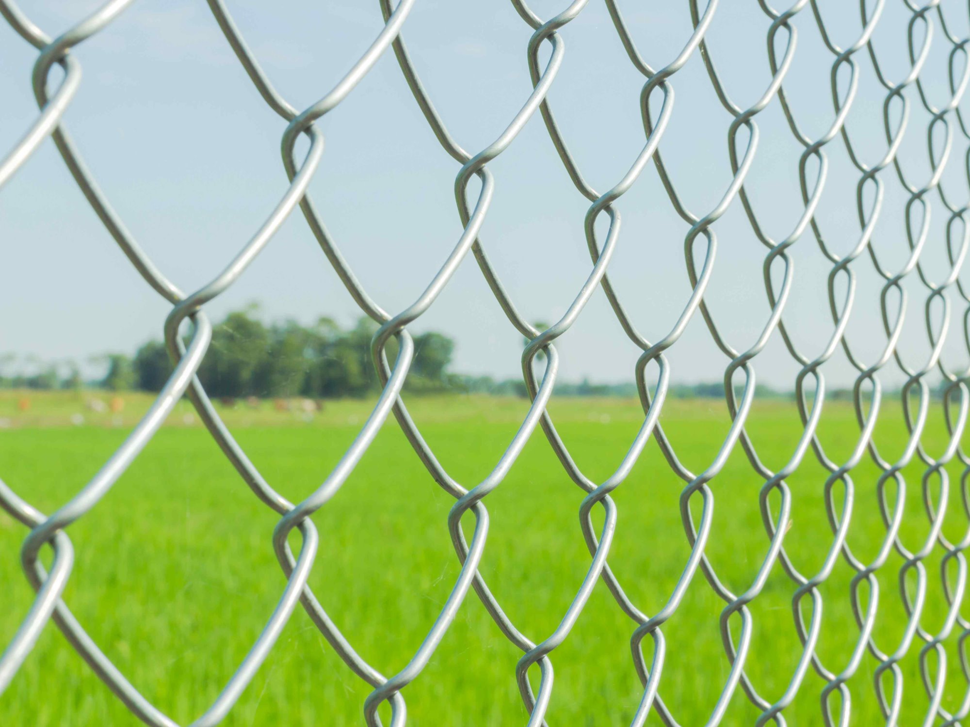 Chain Link fence solutions for the Rowesville, South Carolina area