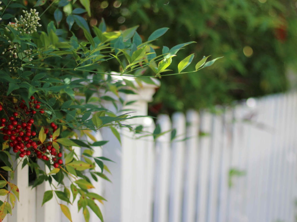 Reevesville SC Vinyl Fences